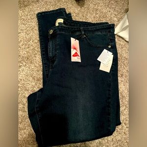 Eloquii skinny jeans